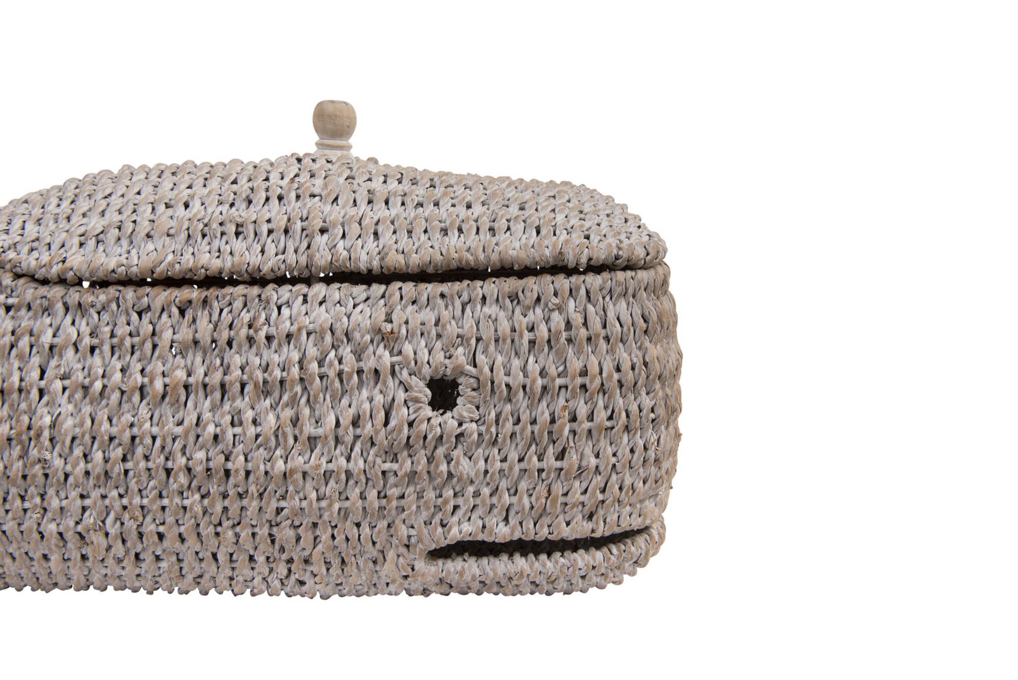 Hello Honey® 24" Bankuan Rope Whale Box with Lid